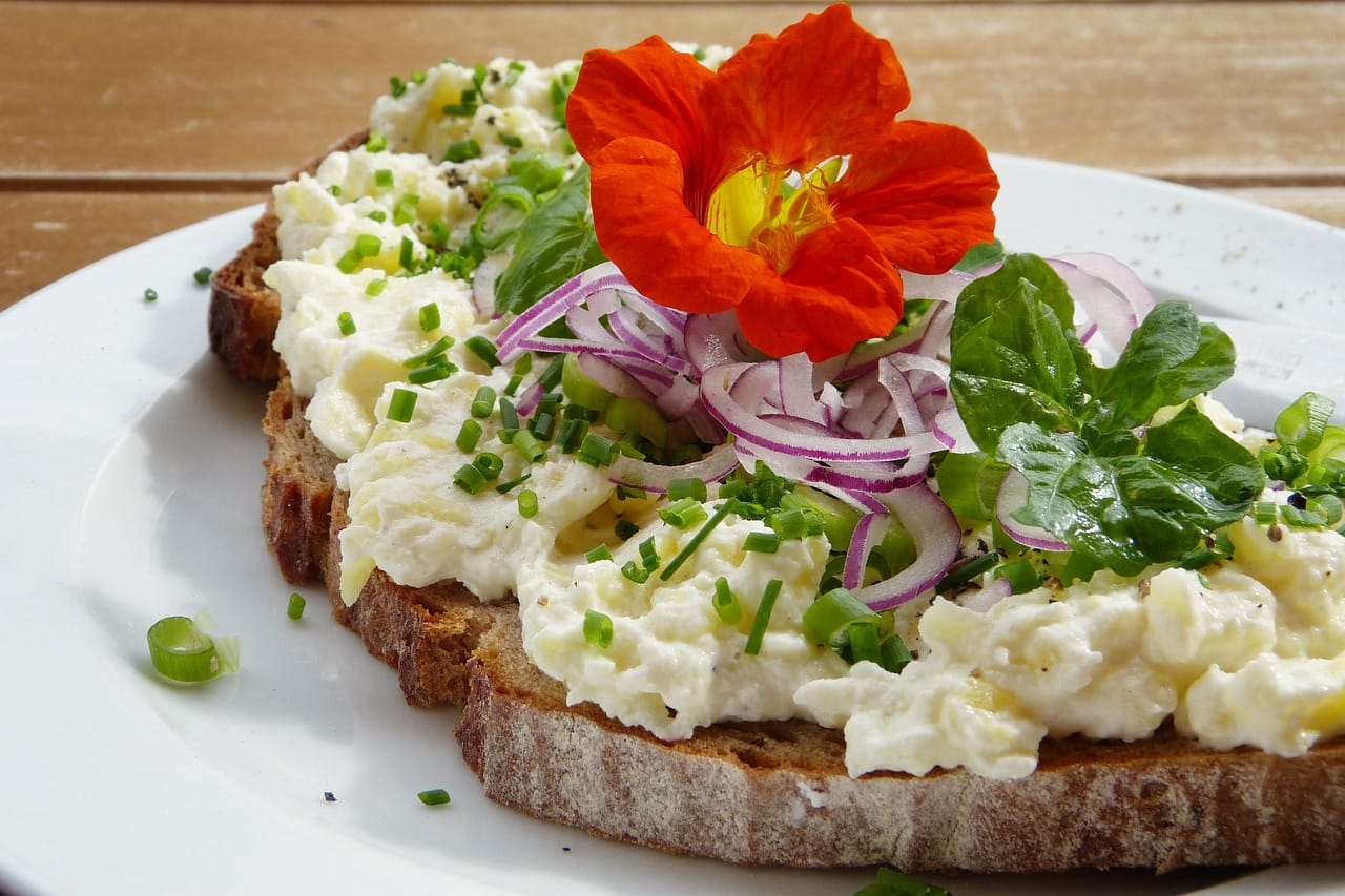 Vegan Open sandwich