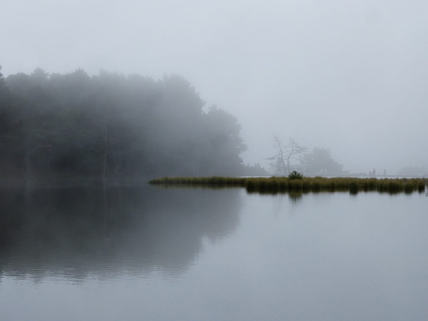 lake with reflections