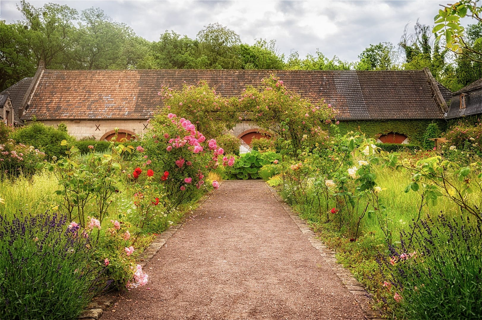 rose garden