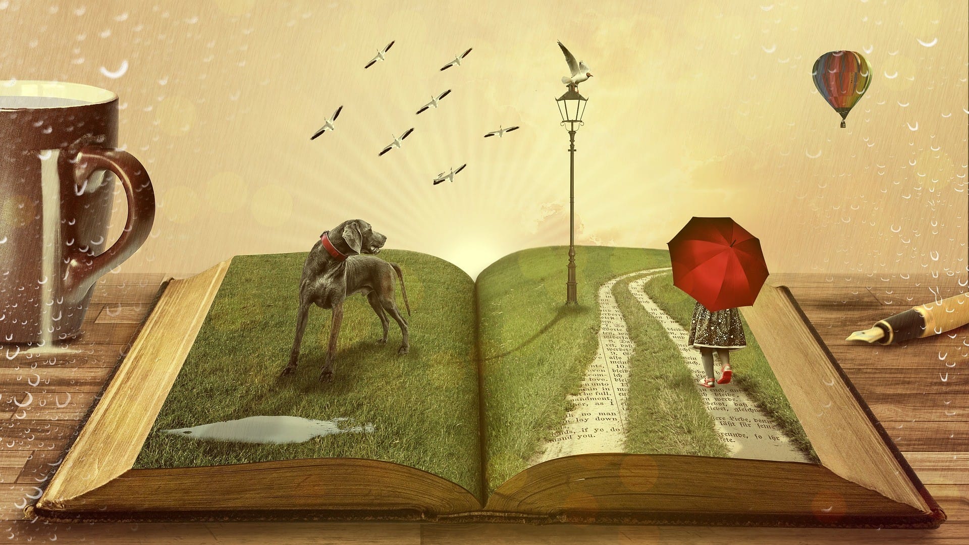 SiB image 1 reduced storybook