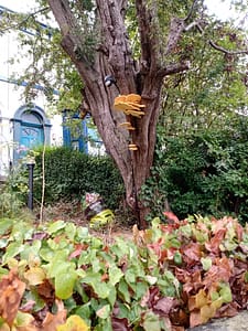 IMG_20220908_112614715 Abbeyfield Road